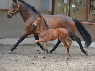 2012-06-24-16-14-34-2.jpg