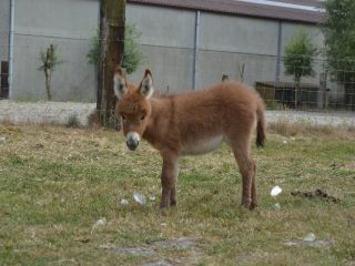 DSC_0070 kopie.JPG