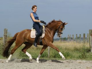 electra-2009-001.jpg
